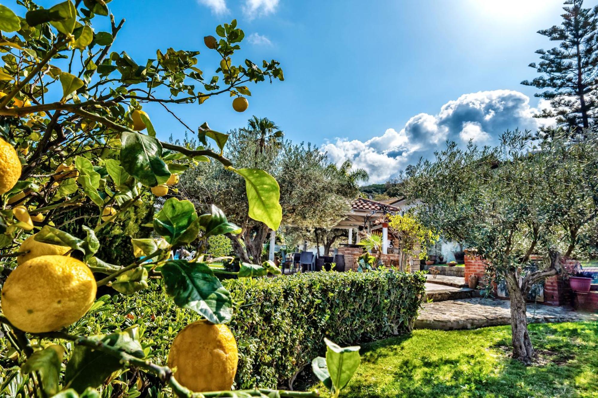 B&B Villa Bency Capo dʼOrlando Dış mekan fotoğraf